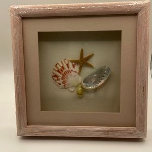 Shell and Stafish Shadow Box Frame